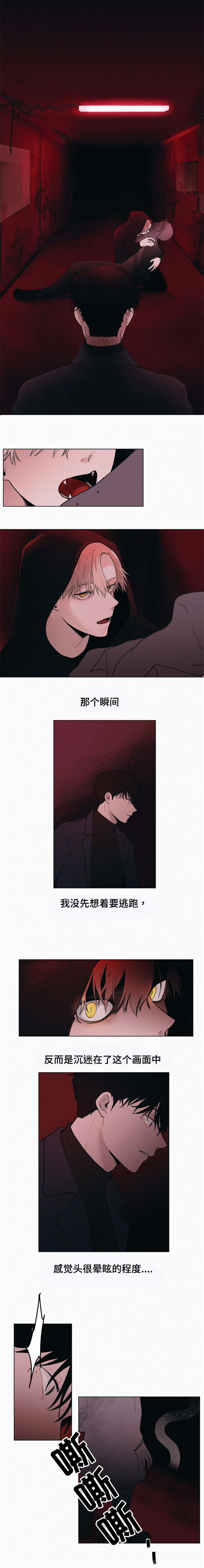 第1章：两个选择2