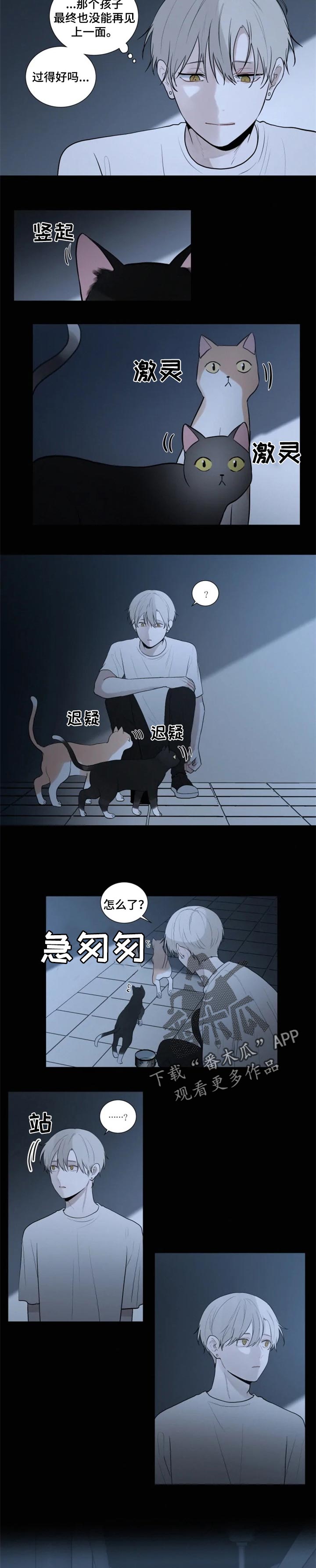 致命供养漫画,第102章：【第二季】救命2图