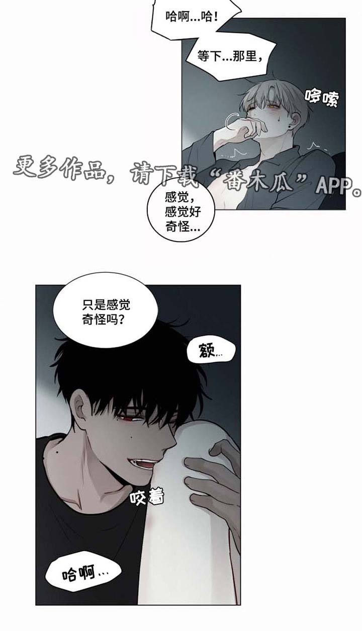 致命供养漫画,第39章：我想你了5图