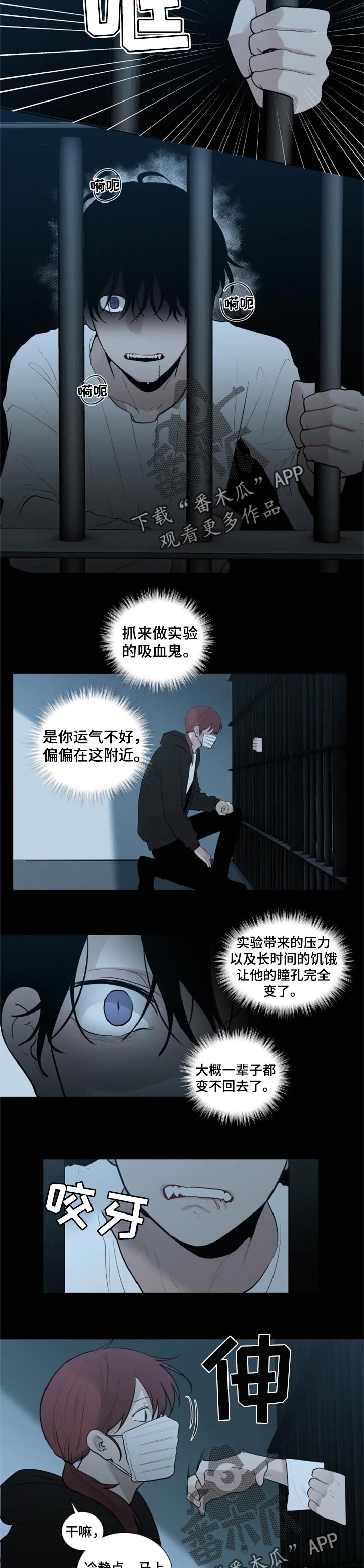 第101章：【第二季】同伴4