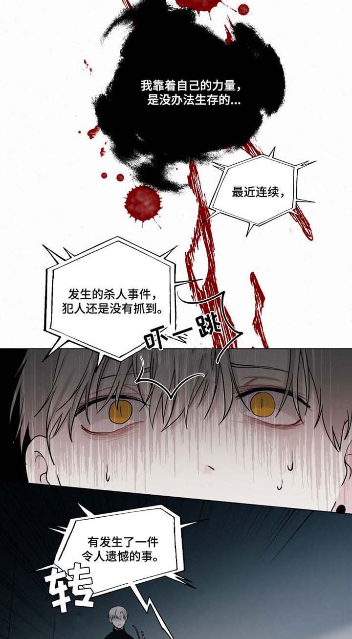 致命供养漫画,第30章：终会伤害到你5图