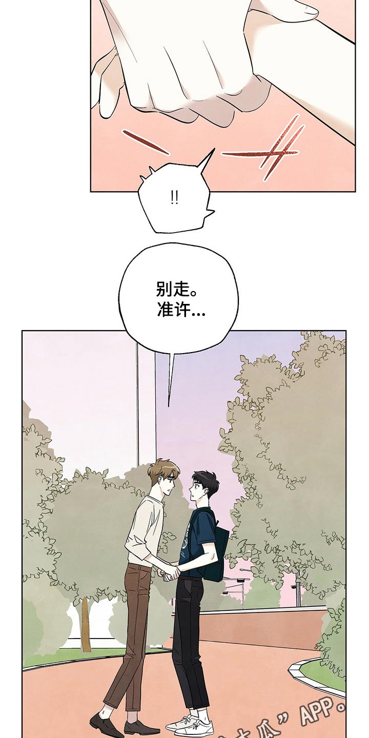 想去看海鸥漫画,第100章：【第二季】别走5图