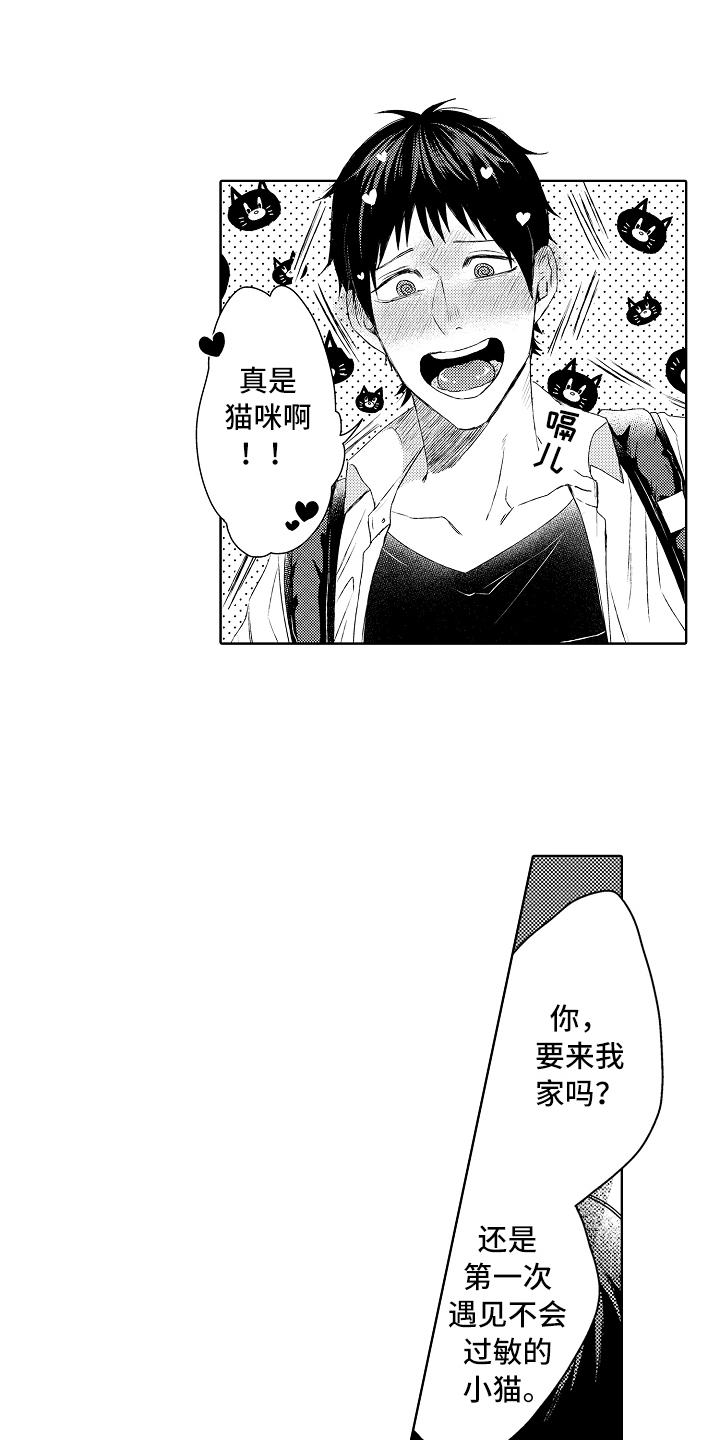 我会喵喵叫漫画,第1章：捡回2图