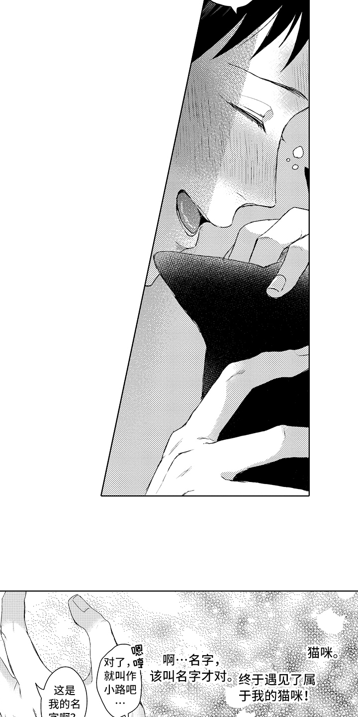 我会喵喵叫漫画,第1章：捡回3图