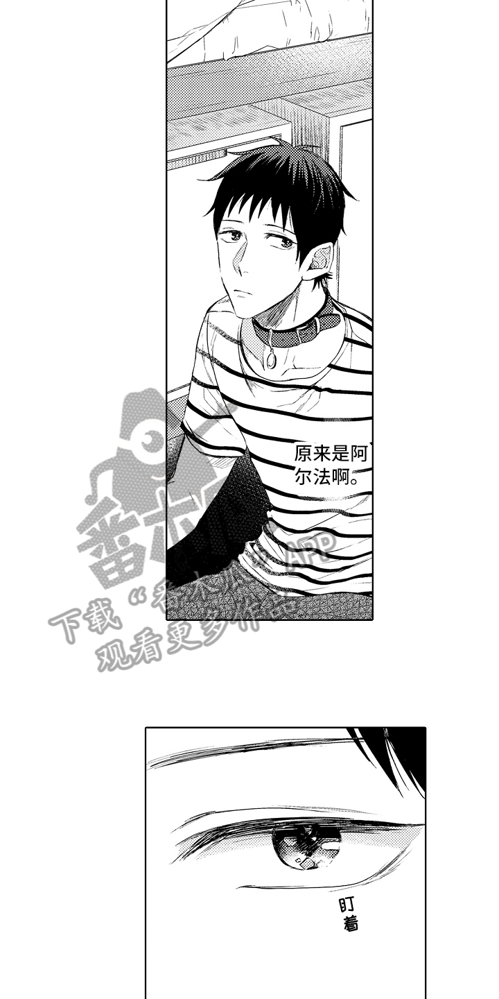 我会喵喵叫漫画,第6章：阿尔法3图