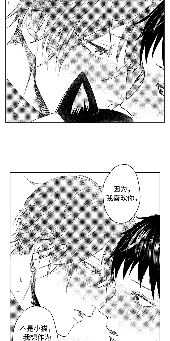 我喵喵叫猫猫会回应我漫画,第35章：幸福5图