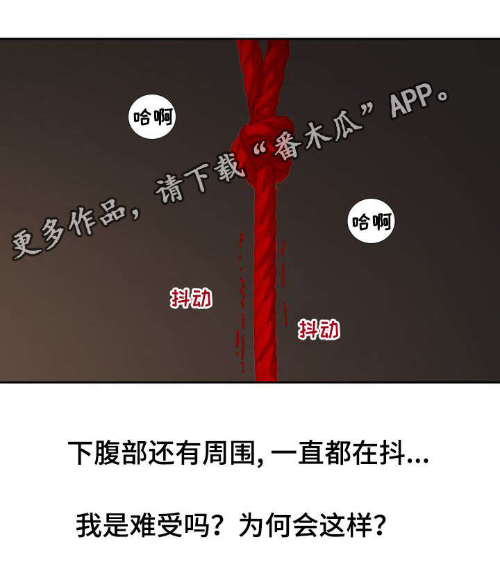 私岛别墅漫画,第16章：做梦1图