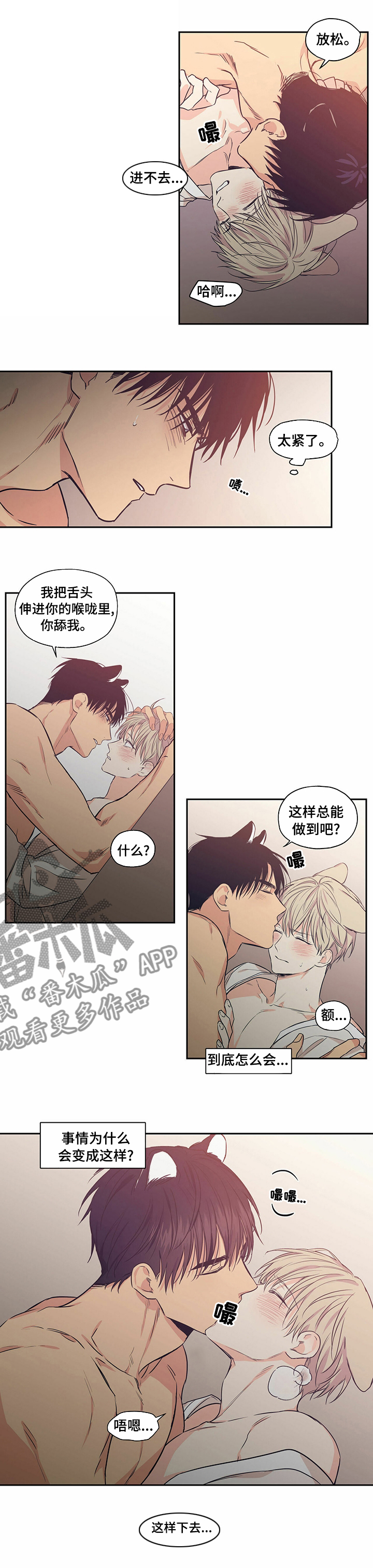 第83章：【番外】不能变回兔子2