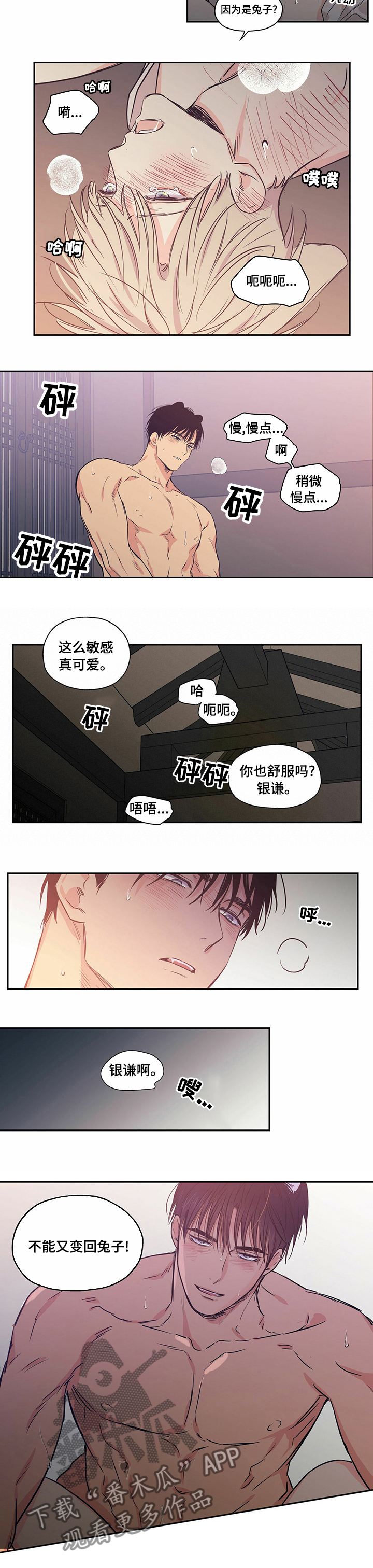 第83章：【番外】不能变回兔子4