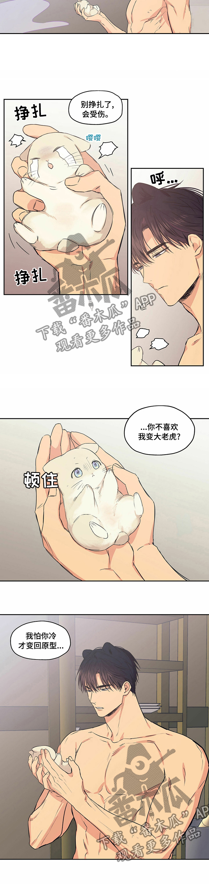 第85章：【番外】奇怪的老虎3