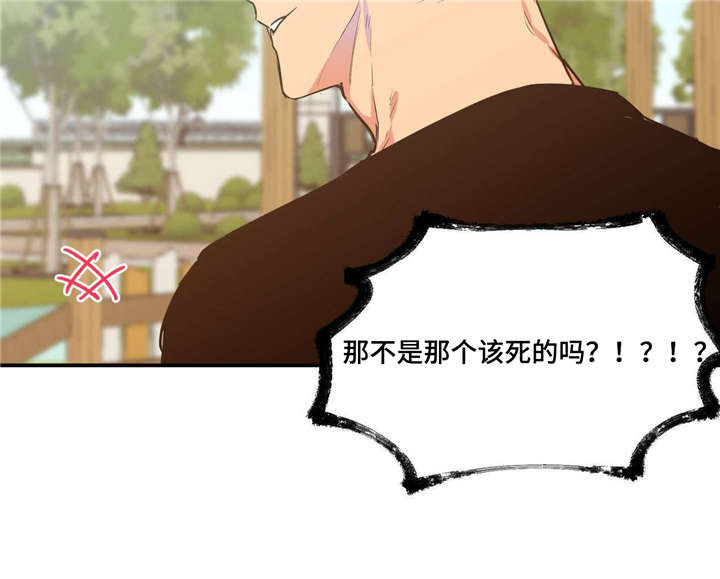 第17章：倒霉到家2