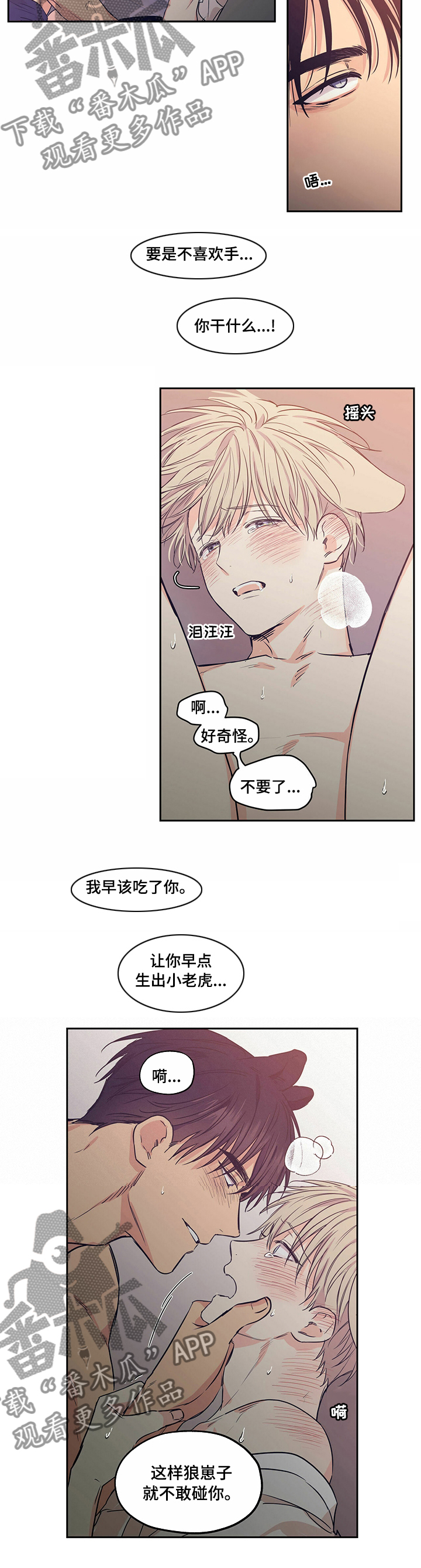 第83章：【番外】不能变回兔子1