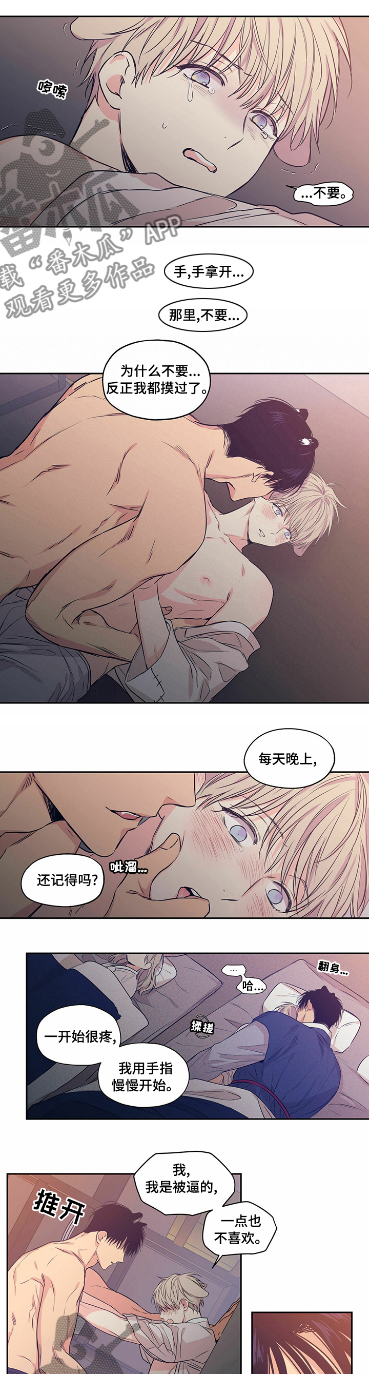 第83章：【番外】不能变回兔子0