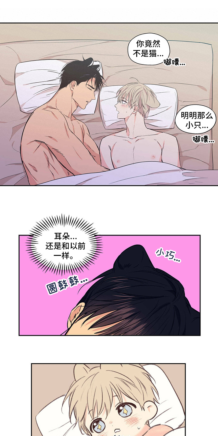 第97章：【番外】不用担心3