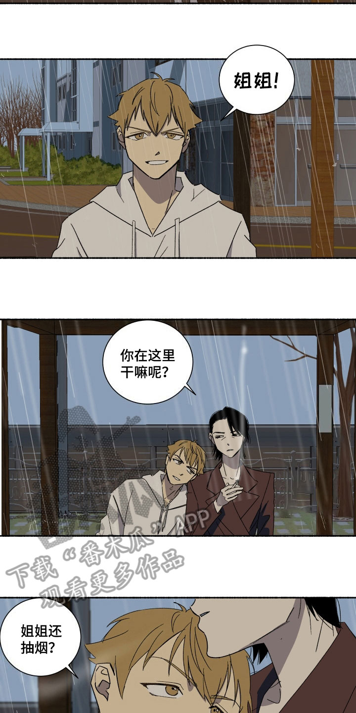 年下故事漫画,第8章：原谅2图