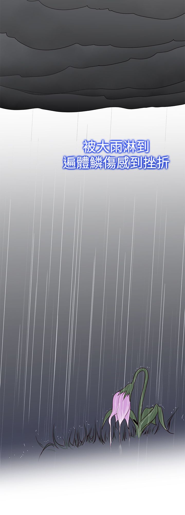 记忆如潮水般涌来漫画,第44章：完结3图