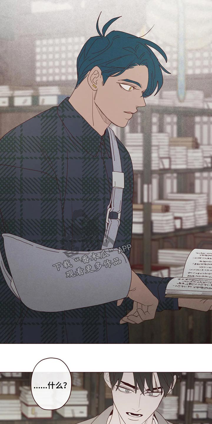 山鬼花钱值多少钱漫画,第133章：记录2图