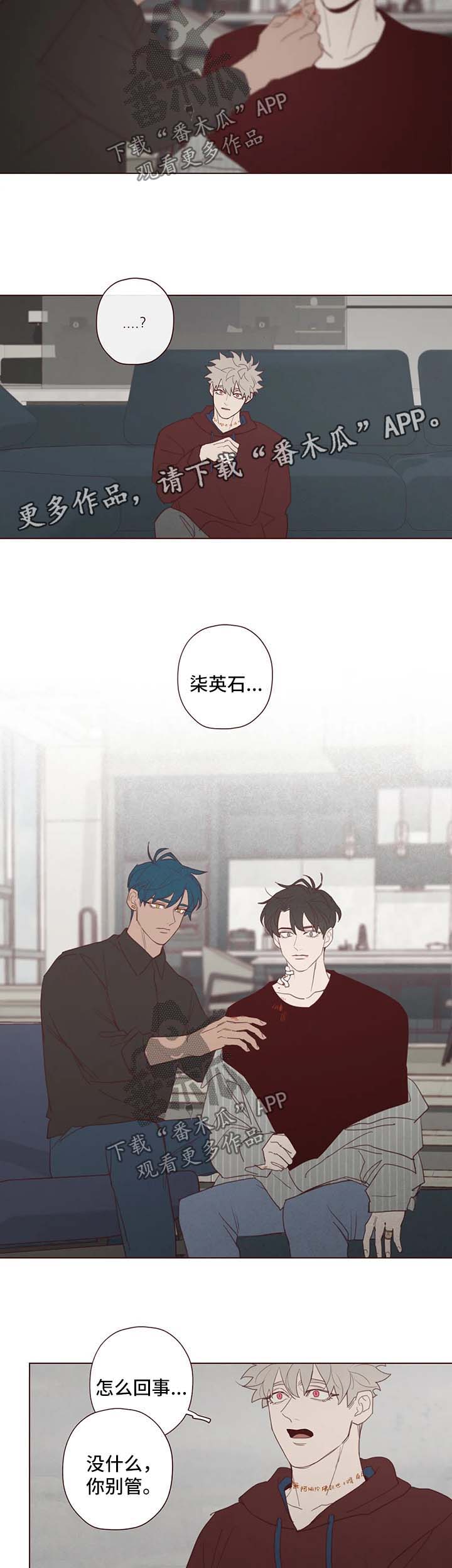 山鬼钱和玉牌哪个灵漫画,第100章：副作用4图