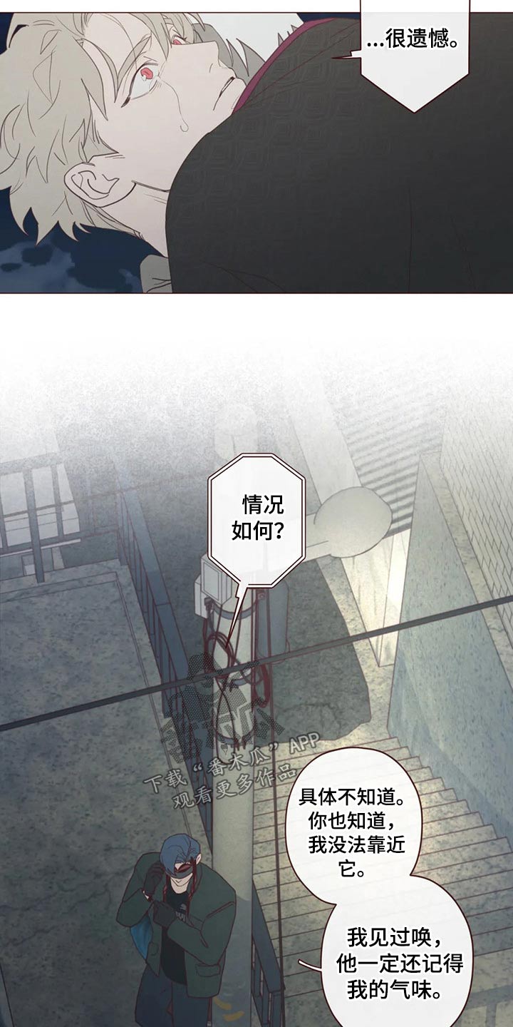 山鬼花钱哪个属相不可以戴漫画,第123章：事情得到解决5图