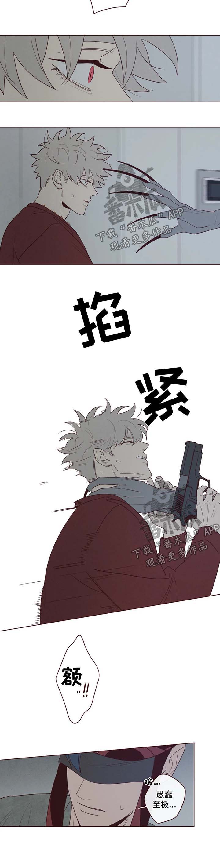 山鬼效灵42话漫画漫画,第46章：要害2图