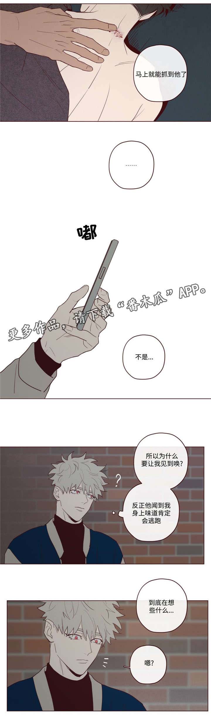 山鬼钱和玉牌哪个灵漫画,第30章：醉1图