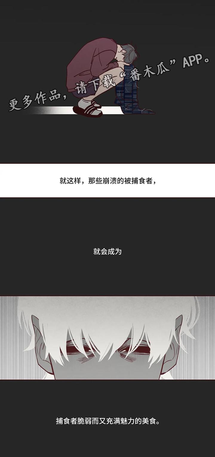 山鬼花钱值多少钱漫画,第82章：捕食者4图