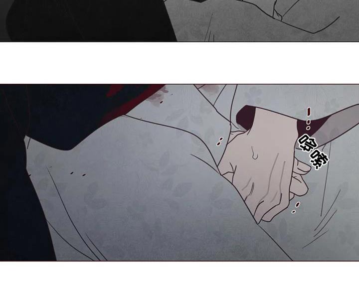 山鬼铜钱漫画,第169章：象征物4图