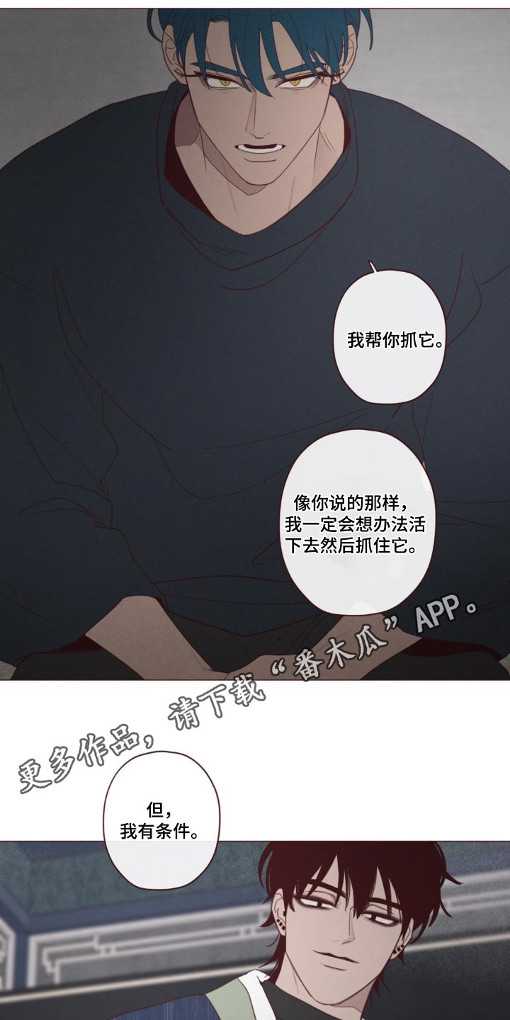 山鬼效灵漫画,第181章：选择3图