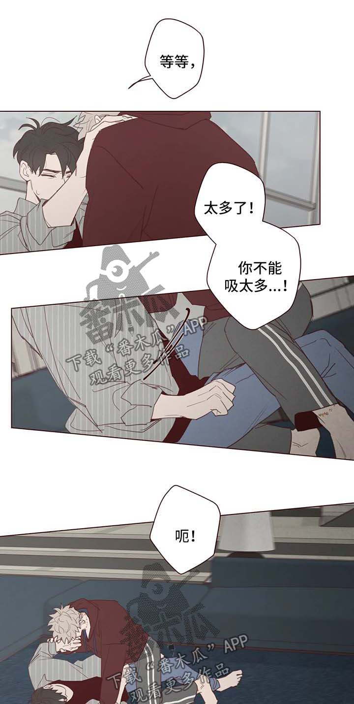 山鬼钱和玉牌哪个灵漫画,第100章：副作用1图