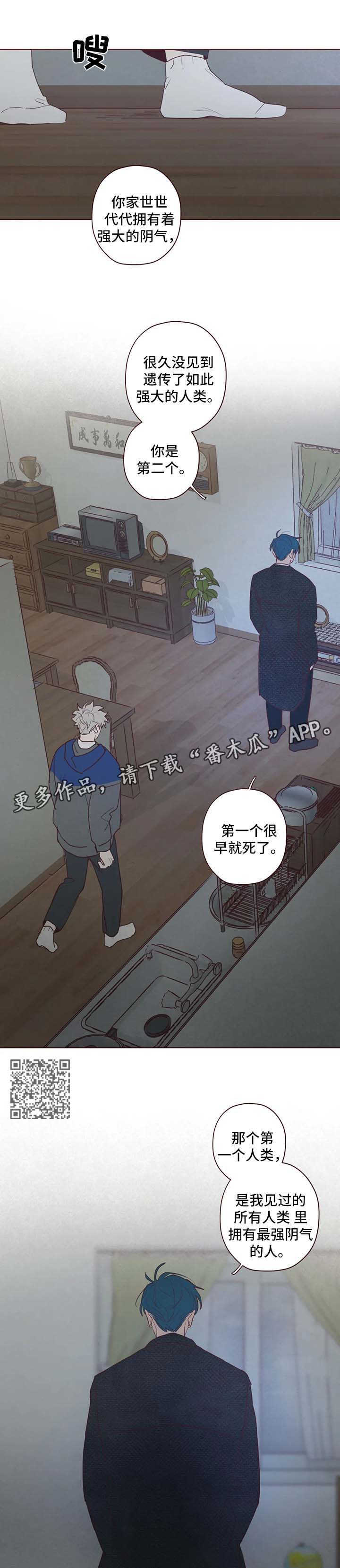 山鬼花钱值多少钱漫画,第85章：鬼魅出现5图