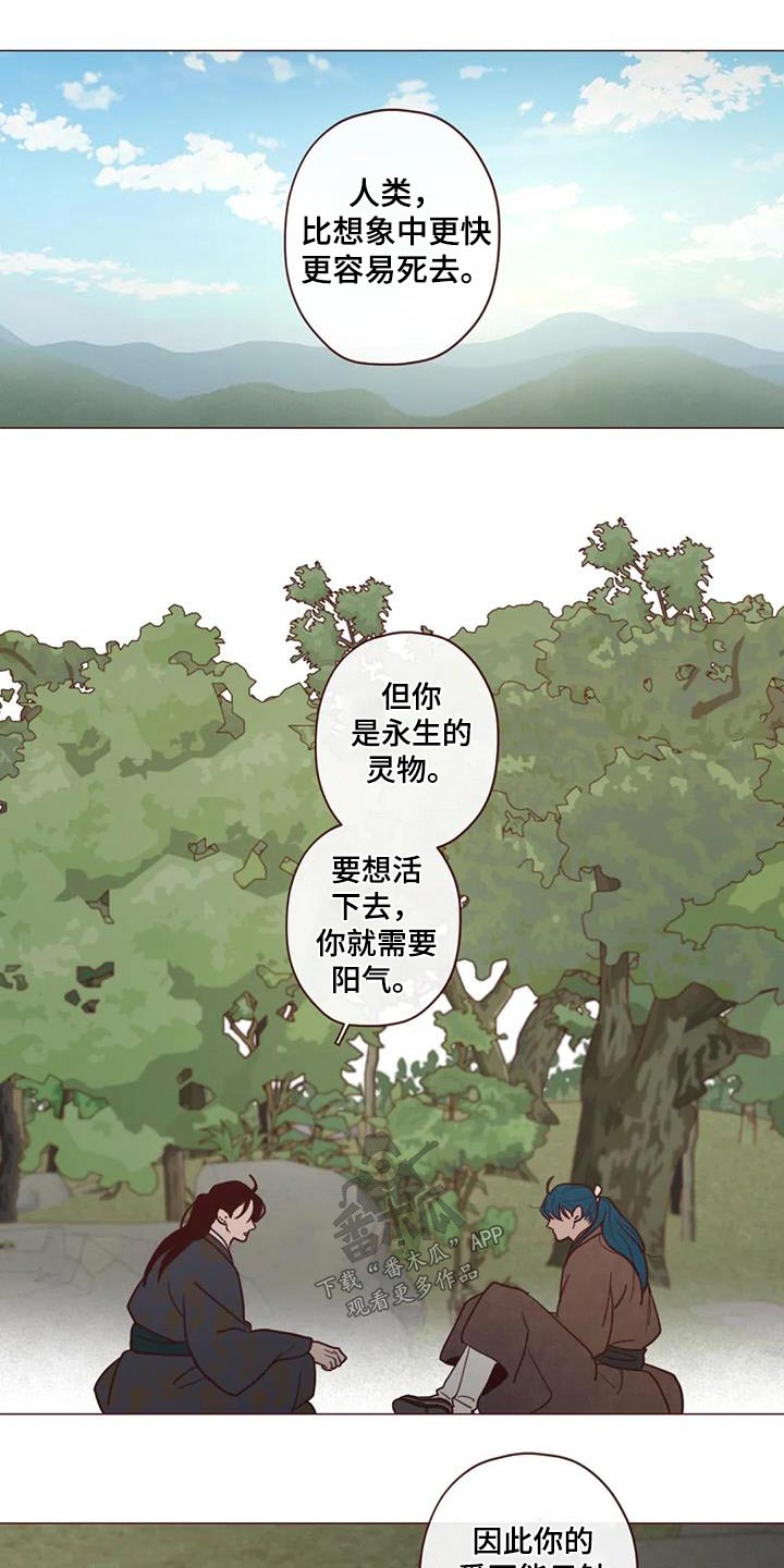 山鬼效果漫画,第155章：大爱4图