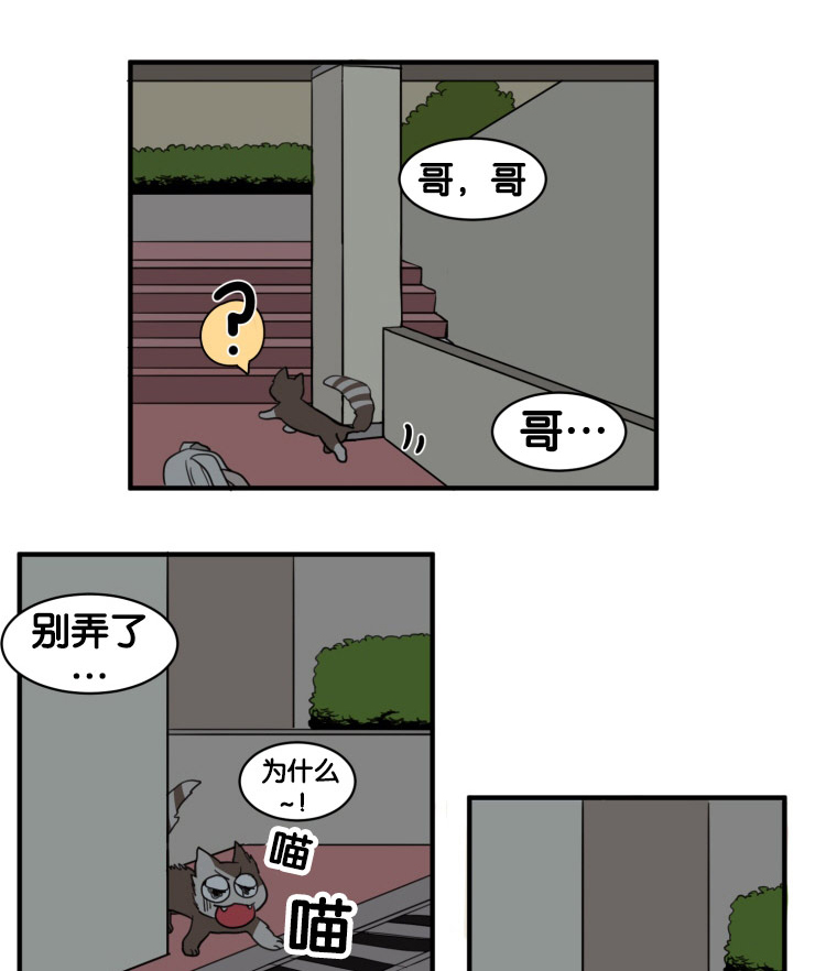 空巢来风漫画,第9章：凝视1图