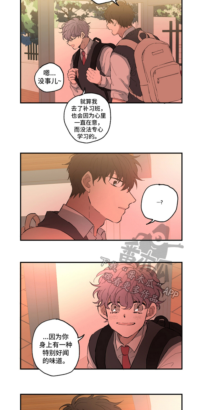 热情眼泪漫画,第14章：味道3图