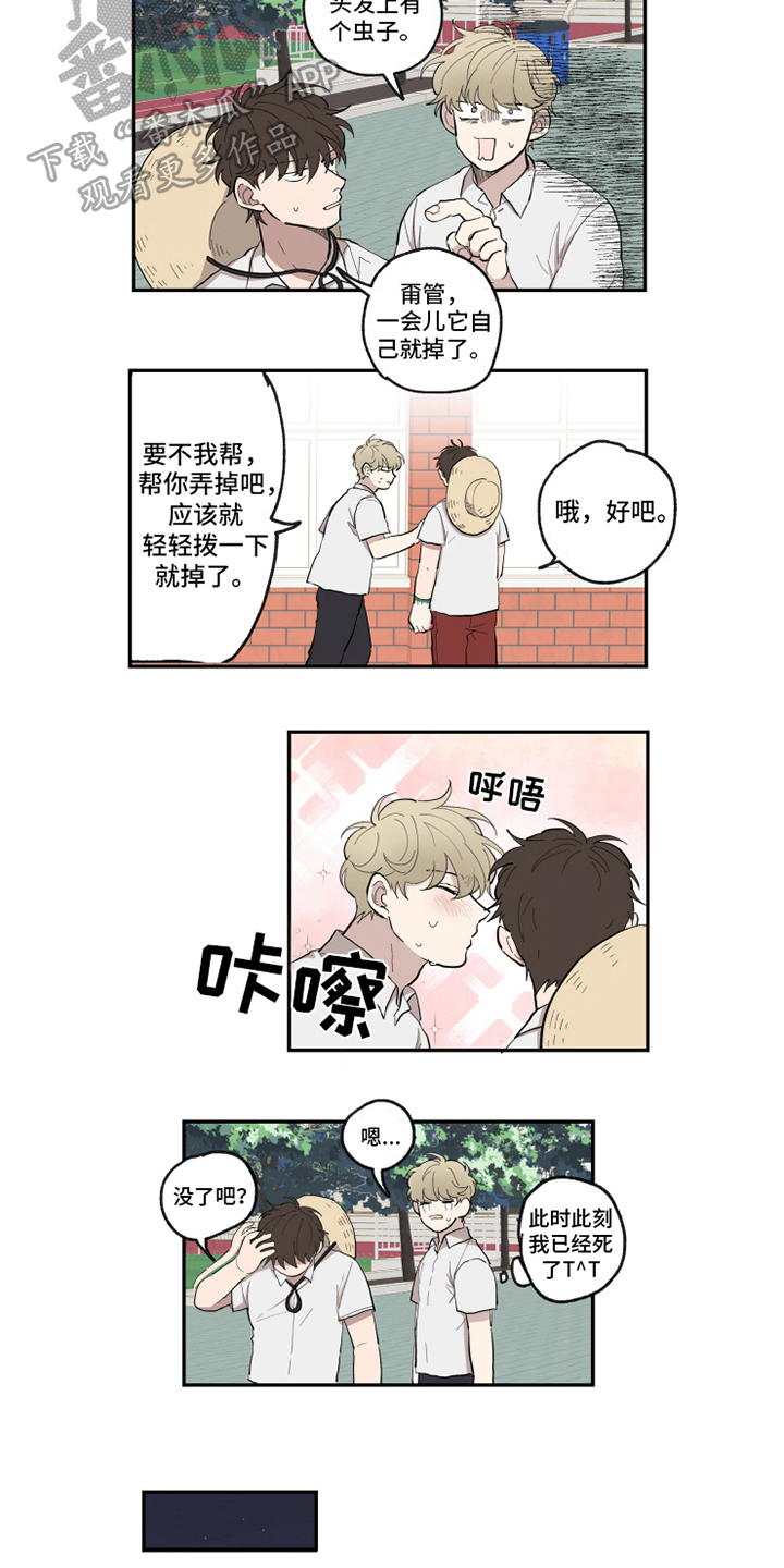 热情眼泪漫画,第29章：执行2图