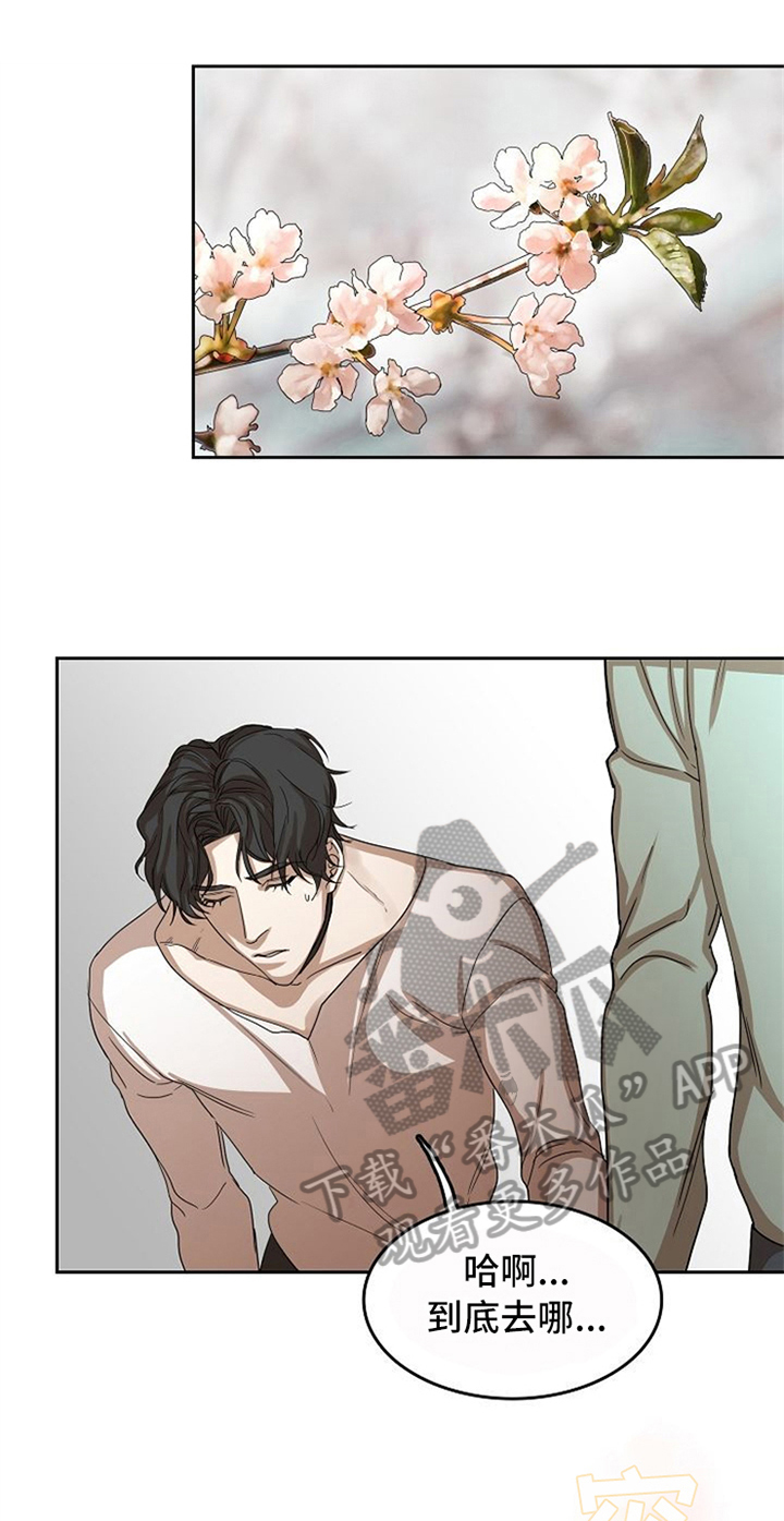 愈合剂购买漫画,第29章：不在意5图