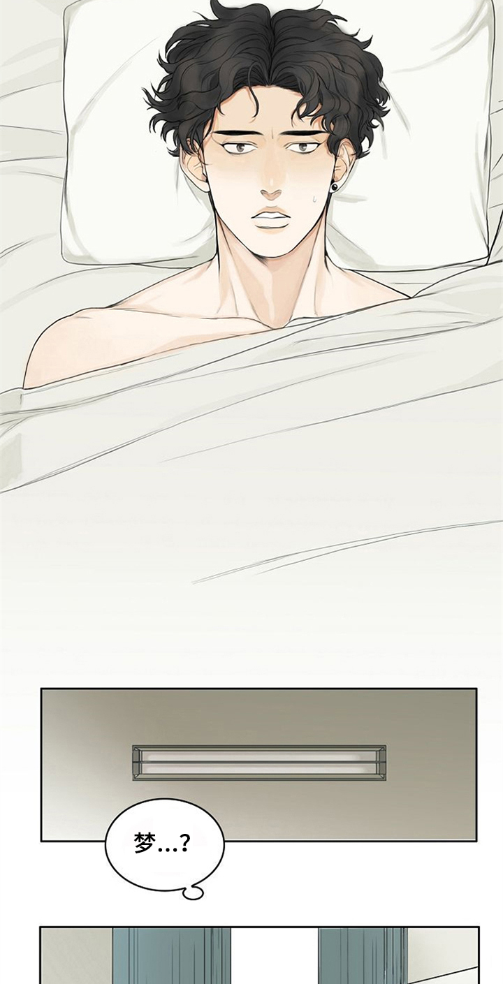 愈合基台被牙龈覆盖漫画,第1章：梦5图