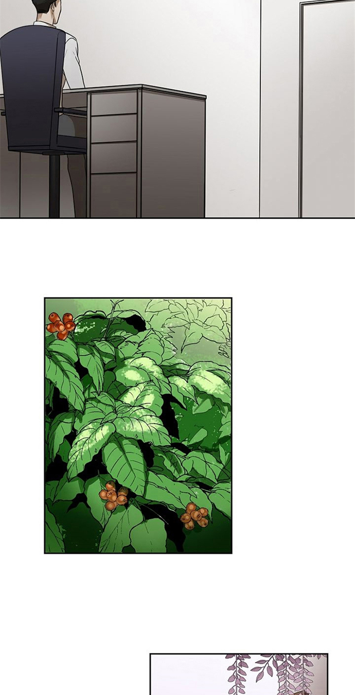 愈合剂购买漫画,第29章：不在意1图