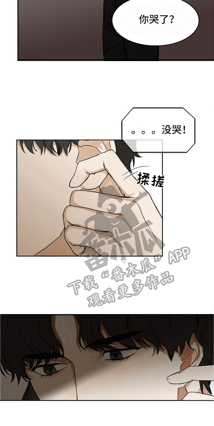 愈合灵抑菌乳膏的作用与功效漫画,第8章：安慰5图