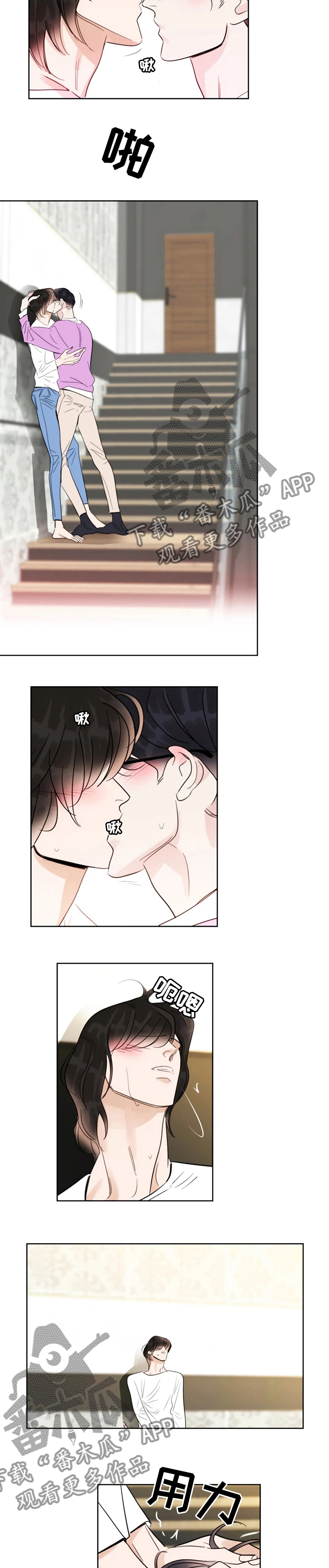 蝴蝶漫画,第65章：结婚3图