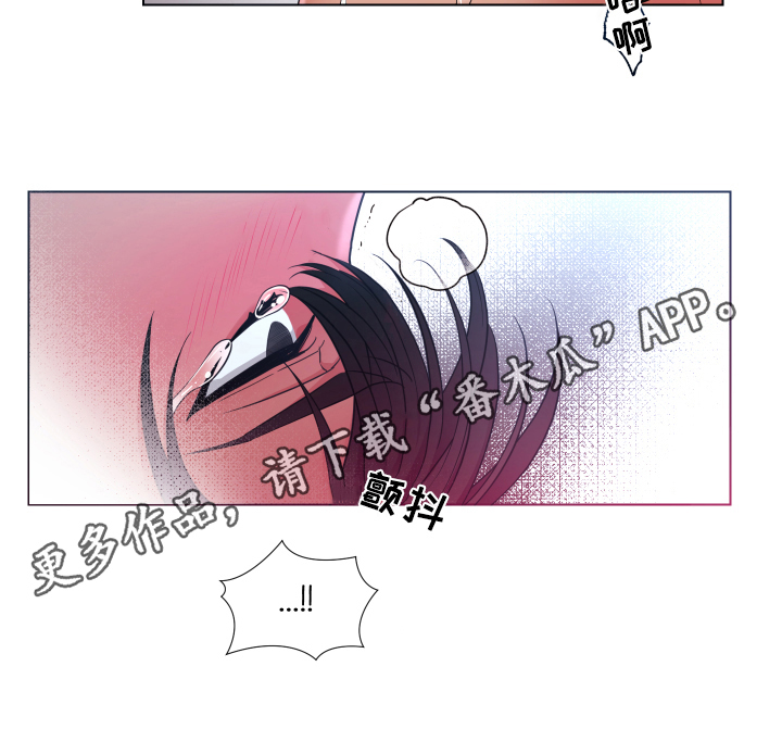 热情之夏漫画,第34章：熙洙还活着吗:猎物5图