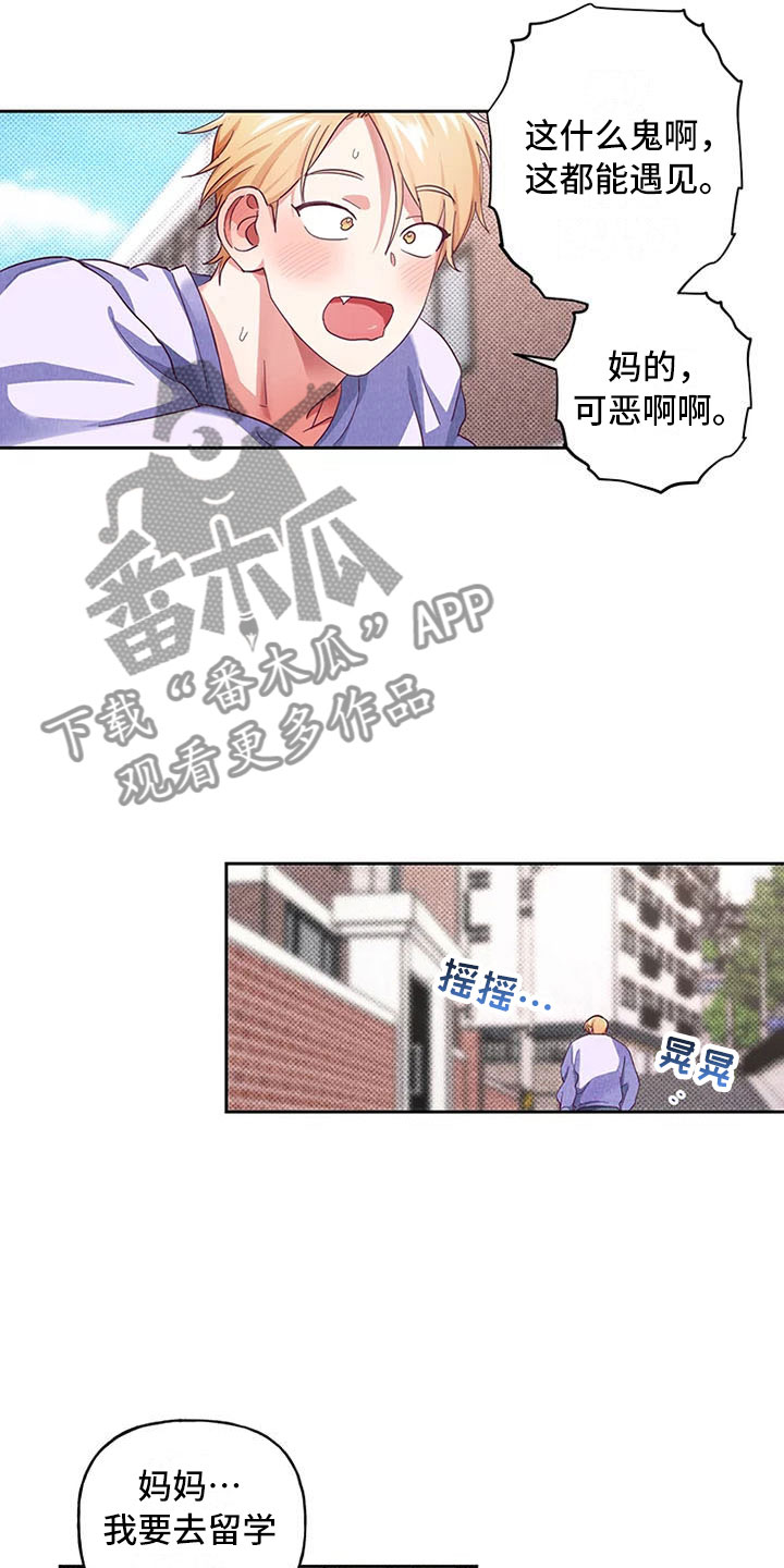 热情之夏漫画,第6章：爱情笔记：突然强吻2图