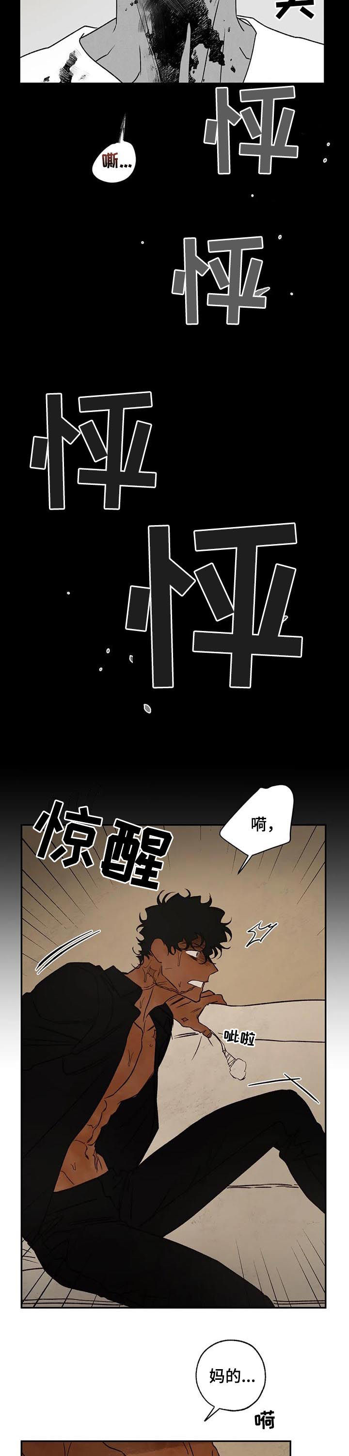 血之诅咒漫画,第46章：噩梦5图