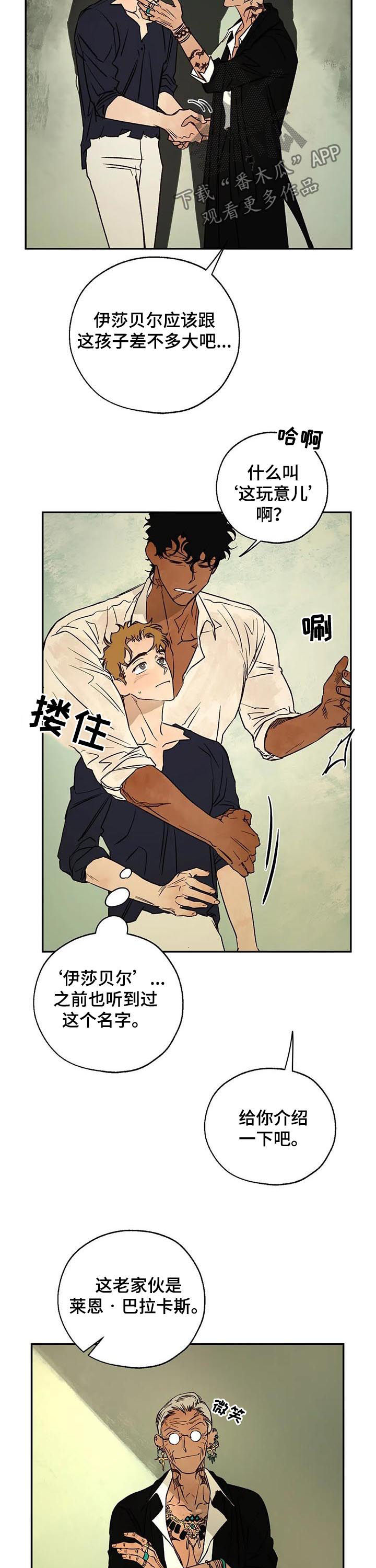 血之诅咒漫画,第41章：圣物2图