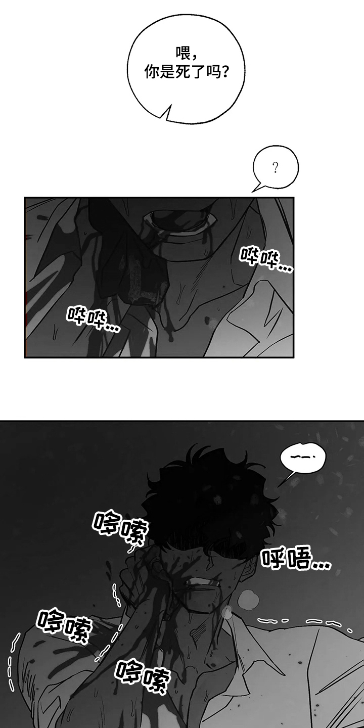 血之诅咒漫画,第71章：圣诞快乐！！！5图