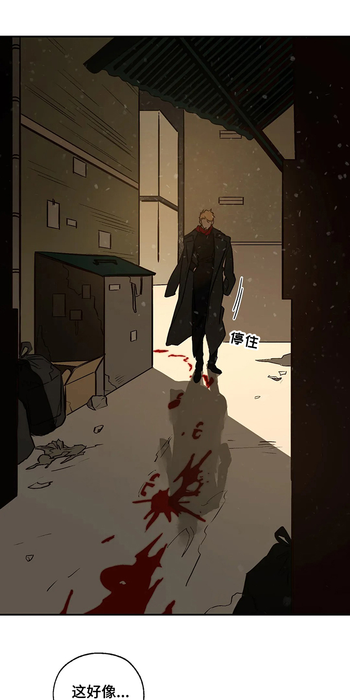 血之诅咒漫画,第71章：圣诞快乐！！！2图