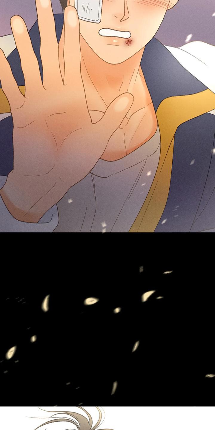 秋牡丹剧场漫画,第65章：【第二季】你这个王八蛋4图