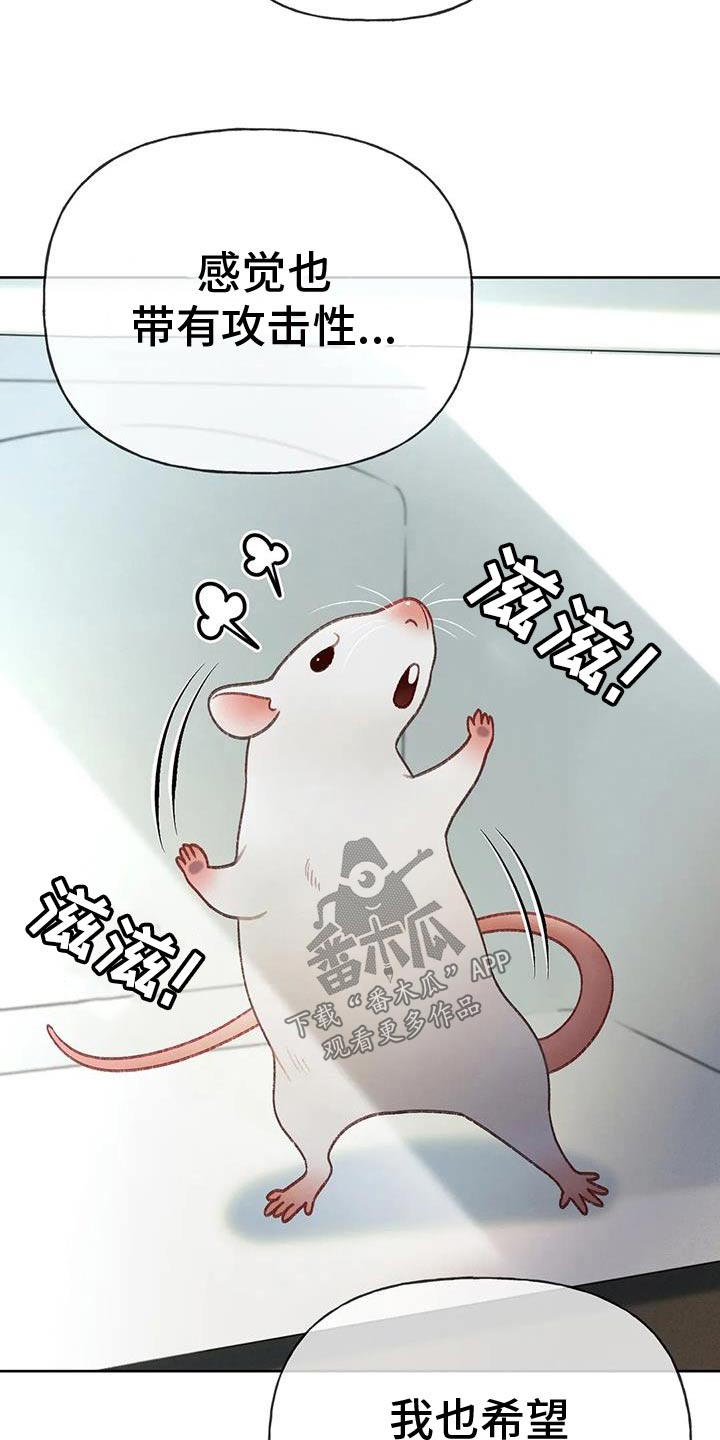 秋牡丹剧场漫画,第132章：【番外】药物3图