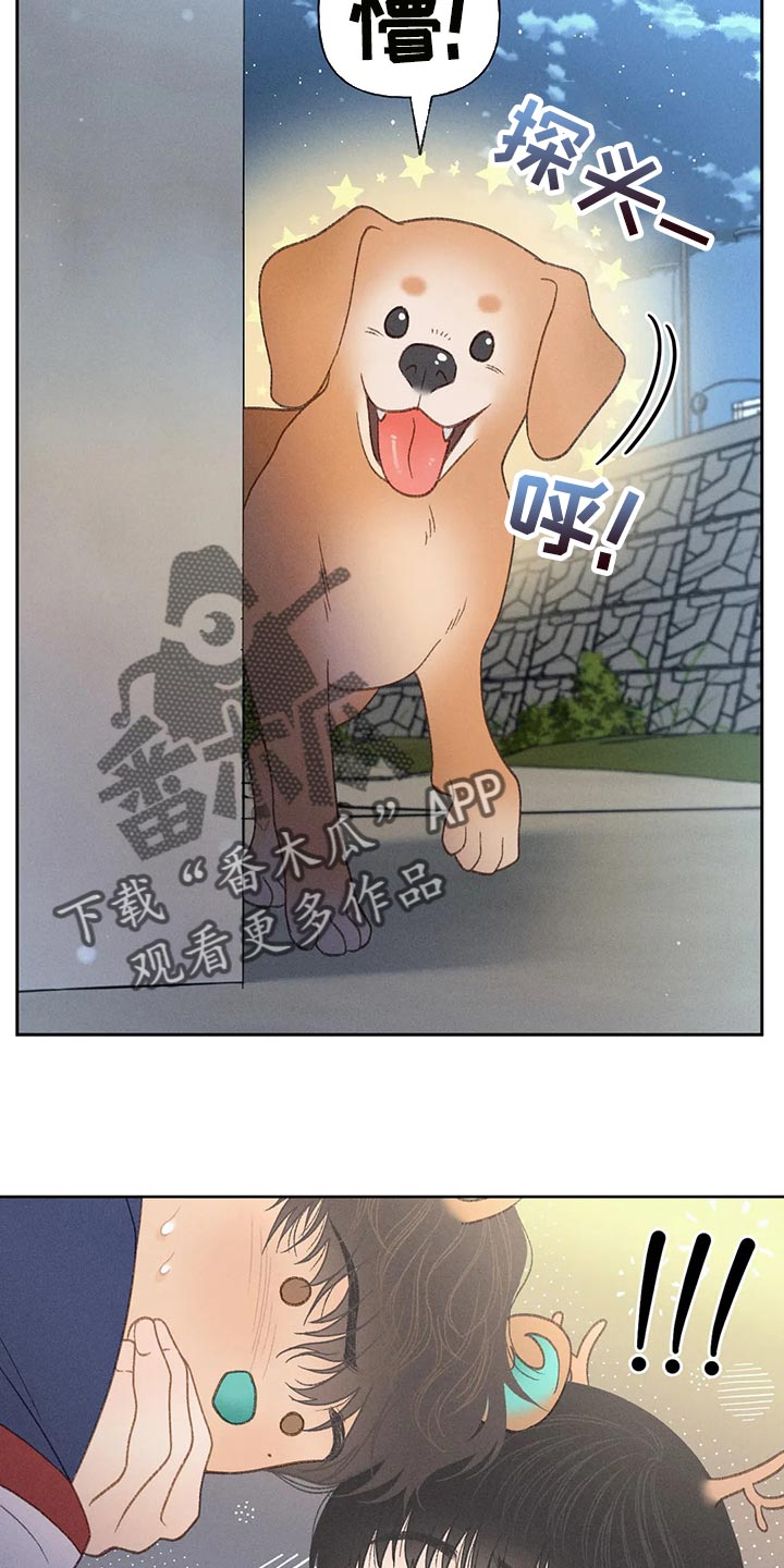 秋牡丹剧场漫画,第60章：【第二季】被发现4图