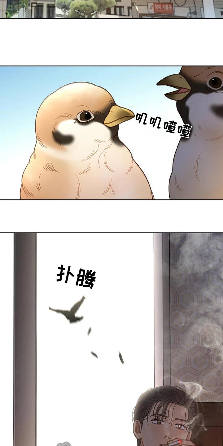 秋牡丹剧场漫画,第127章：【第三季】请帖5图