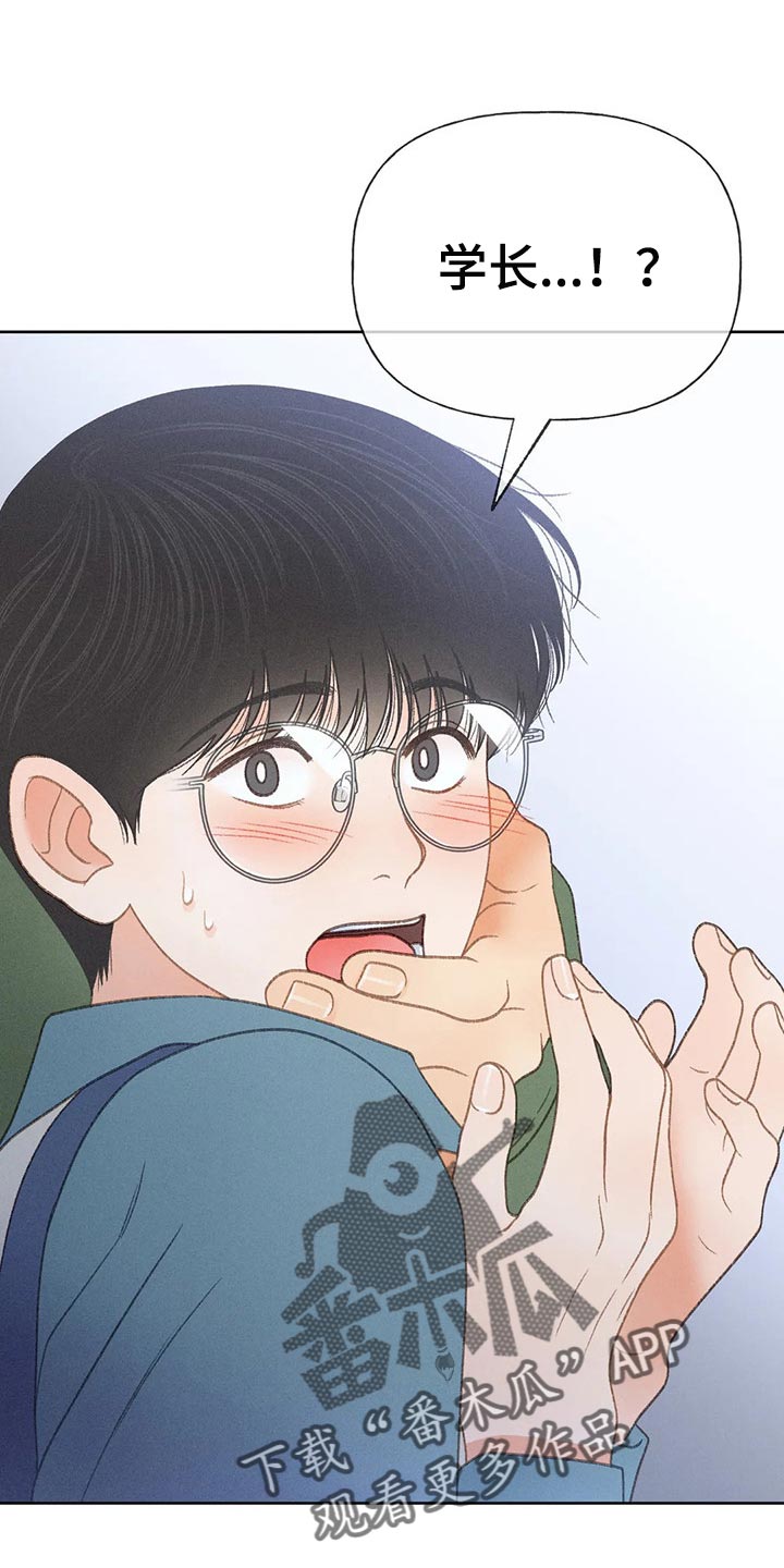 秋牡丹剧场漫画,第52章：【第二季】关注1图